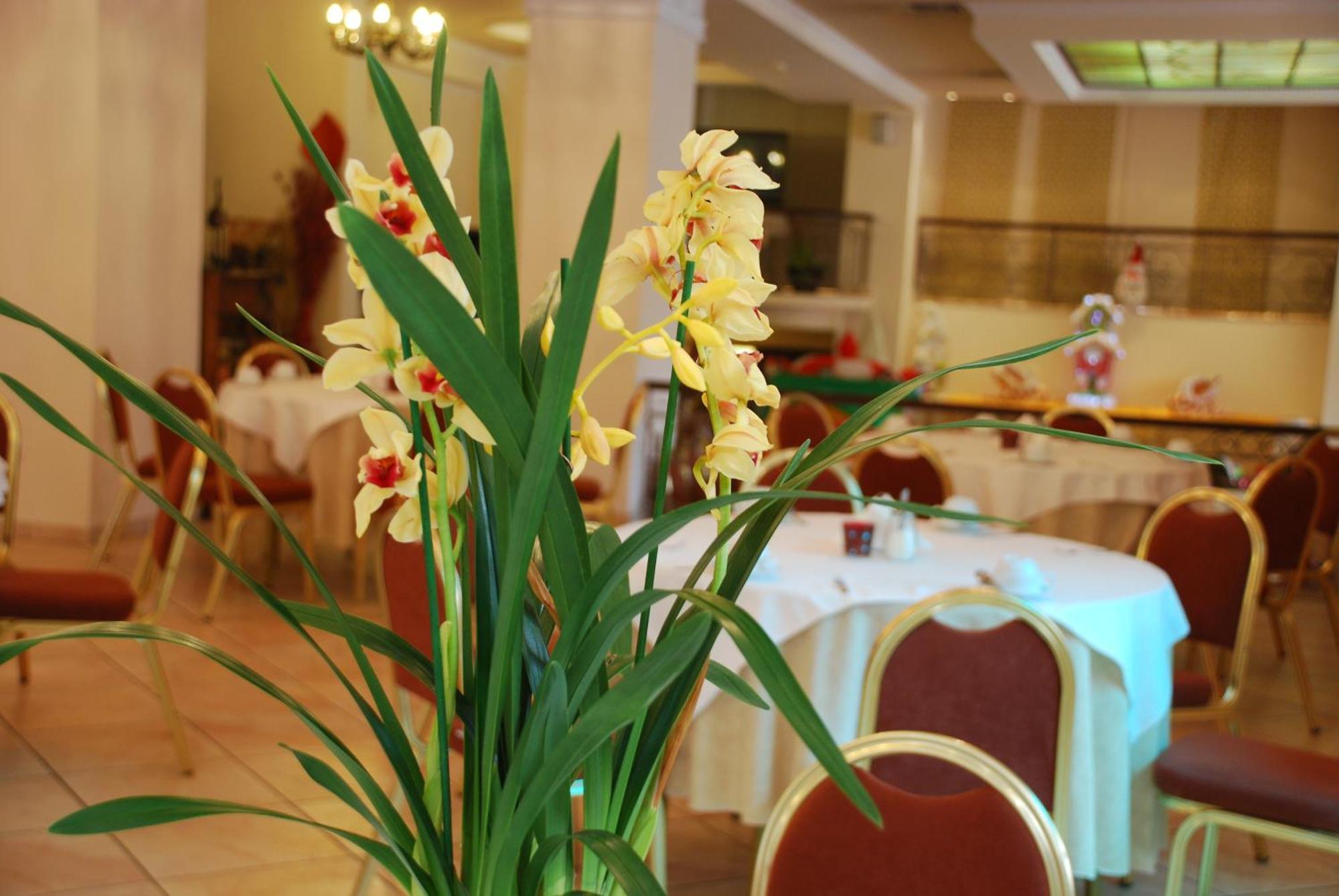Hotel Pella Giannitsa Ngoại thất bức ảnh